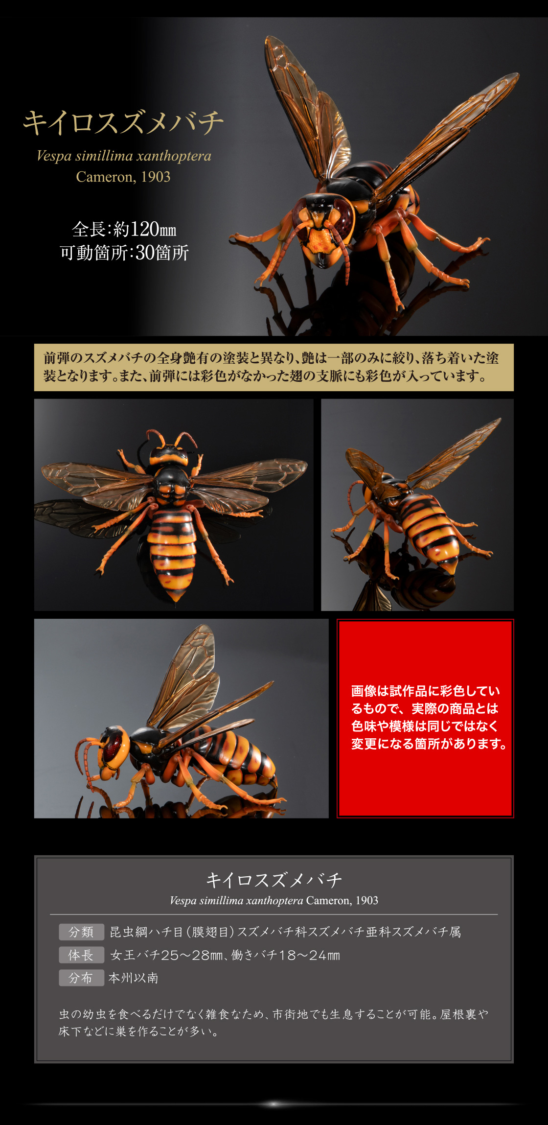 いきもの大図鑑アドバンス スズメバチ｜いきもの大図鑑｜ガシャポン