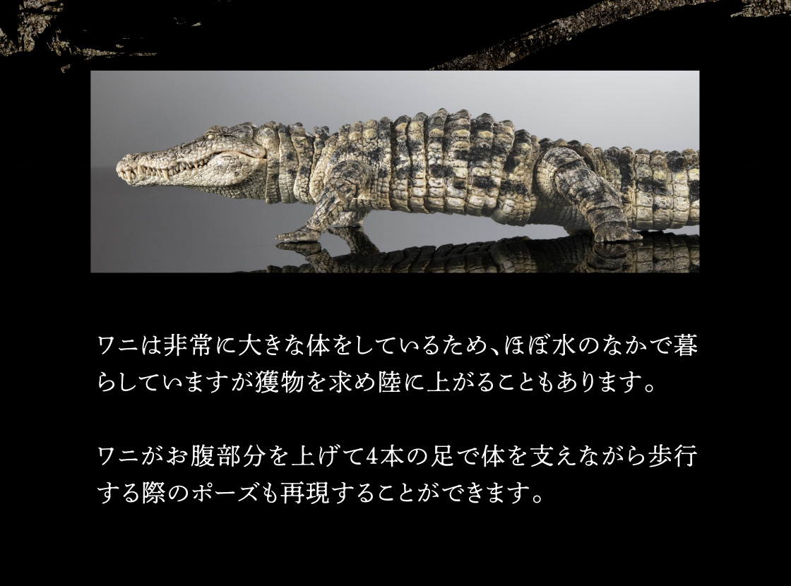 いきもの大図鑑 アルティメット ナイルワニ（ライトカラー）｜いきもの