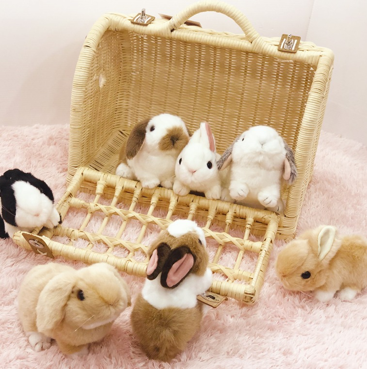 うさちゃんのぬいぐるみ販売中！｜うさぎのしっぽ｜ショップトピックス