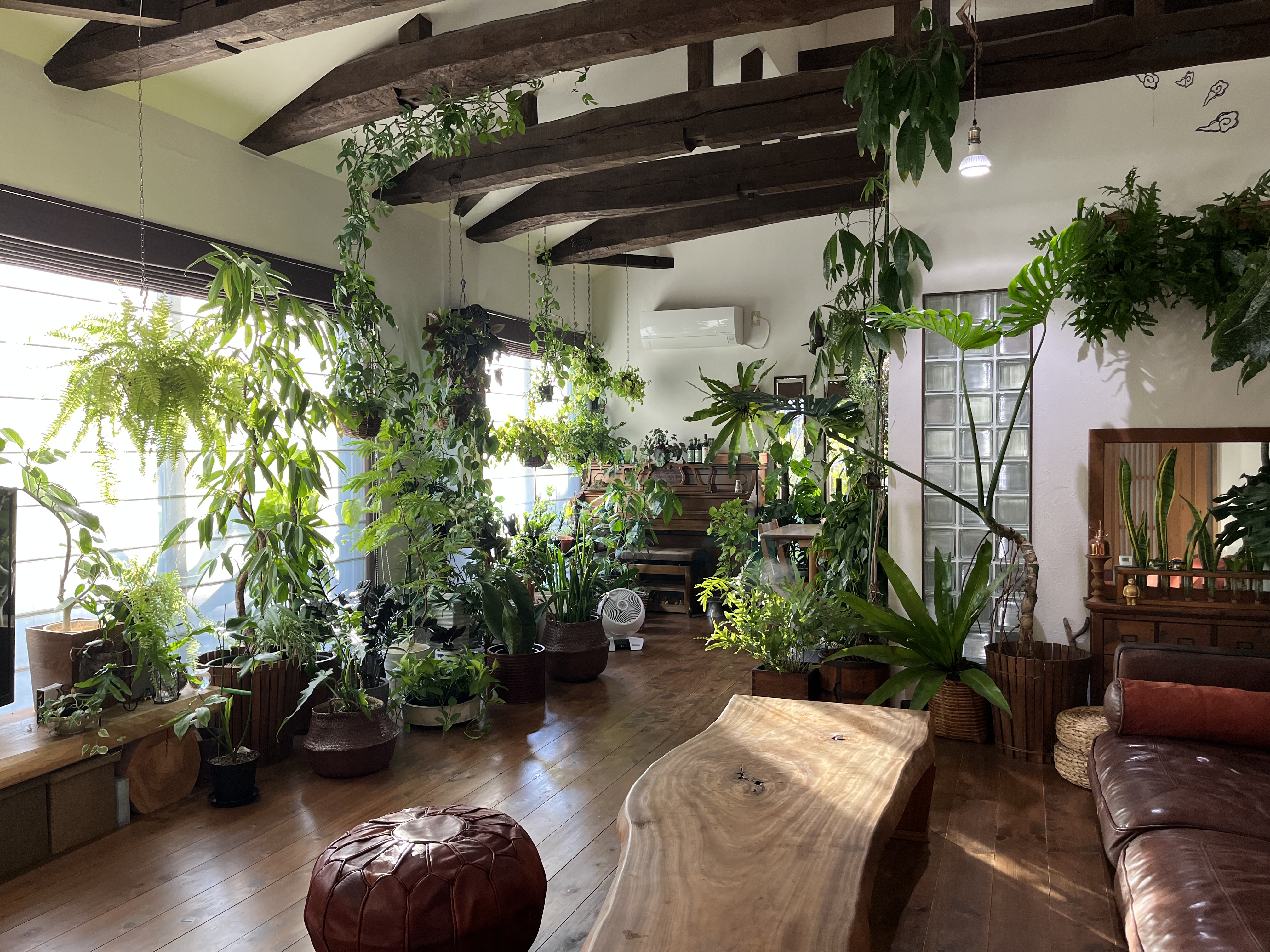 植物育成ライト専門店BARREL公式サイト