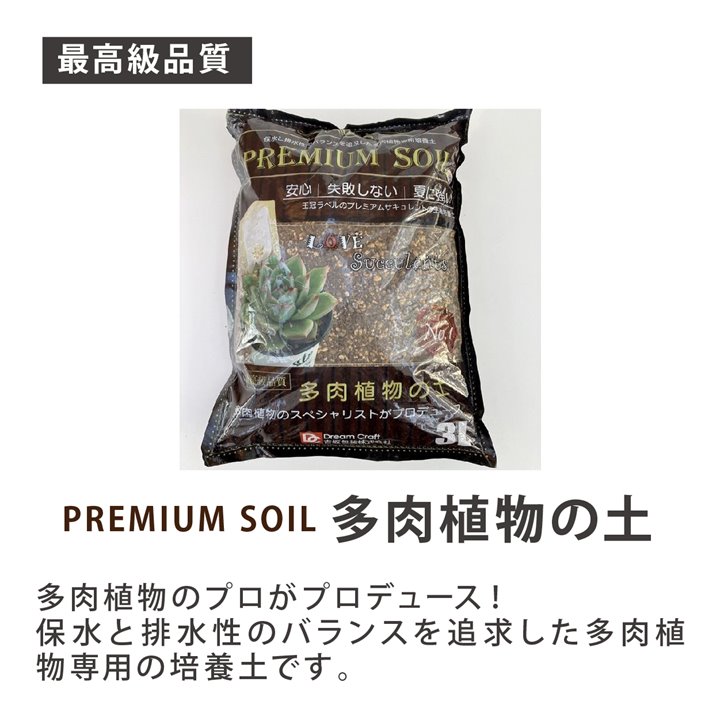 アガベ 3.5号 インプレッサ インプレッシブ impressa Impressiv｜観葉