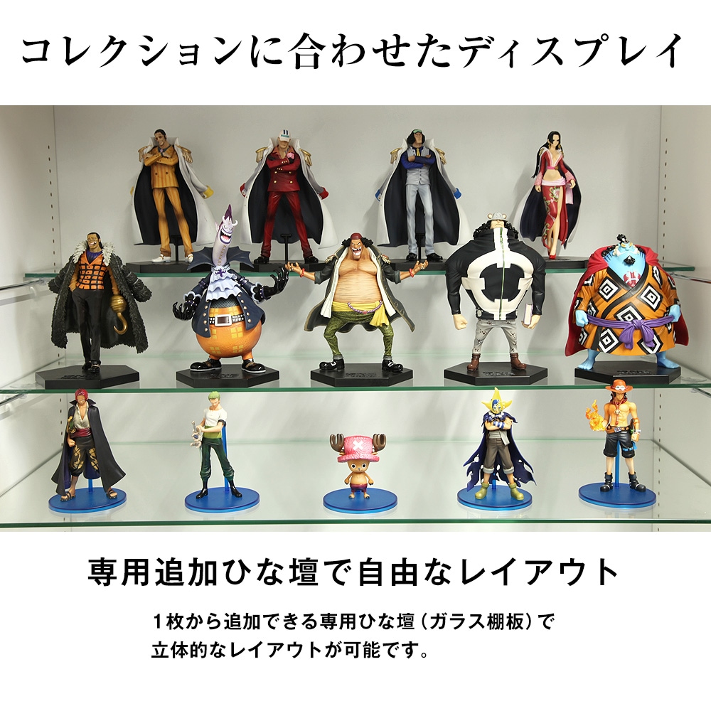 幅55cmコレクションラックレギュラータイプ 専用オプション 奥行19cm