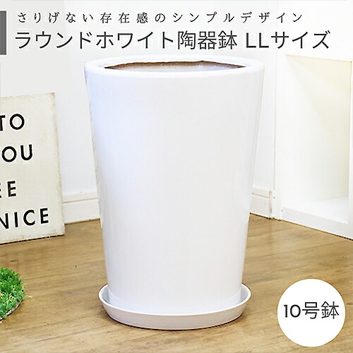 ラウンド フリーツ 陶器鉢 LLサイズ【受け皿付き 鉢底ネット付き】大型
