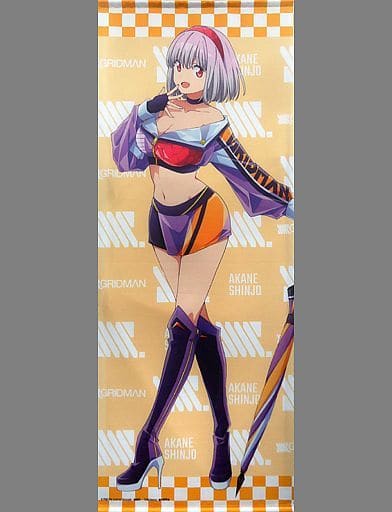 SSSS.GRIDMAN 新条アカネ ドンキコラボ レースクイーン タペストリー