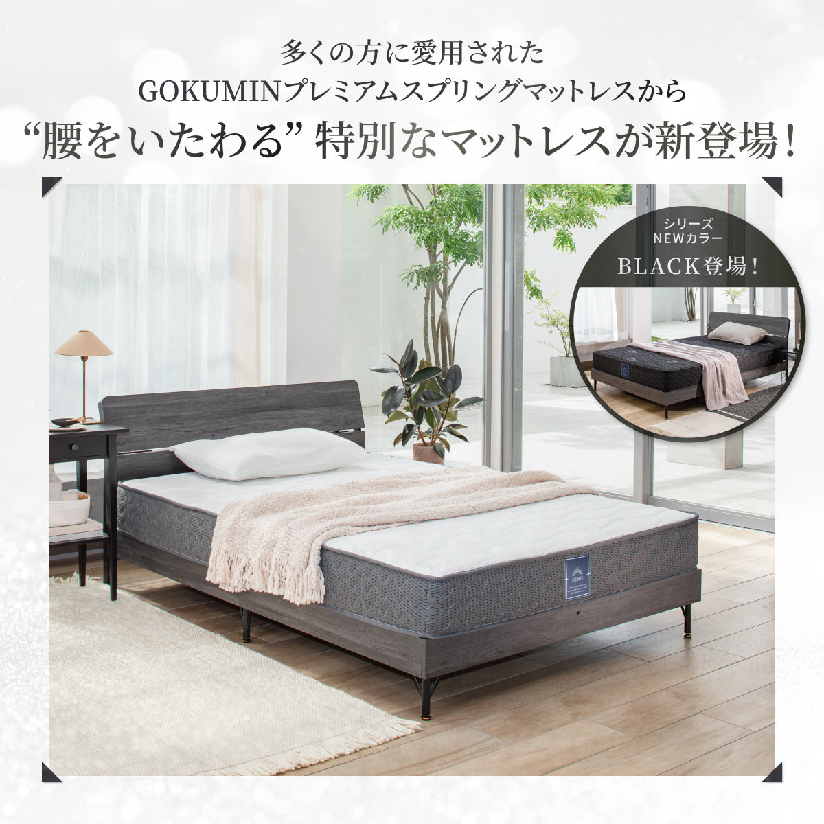 GOKUMINのベストセラーから新モデル登場！】 プレミアムスプリング