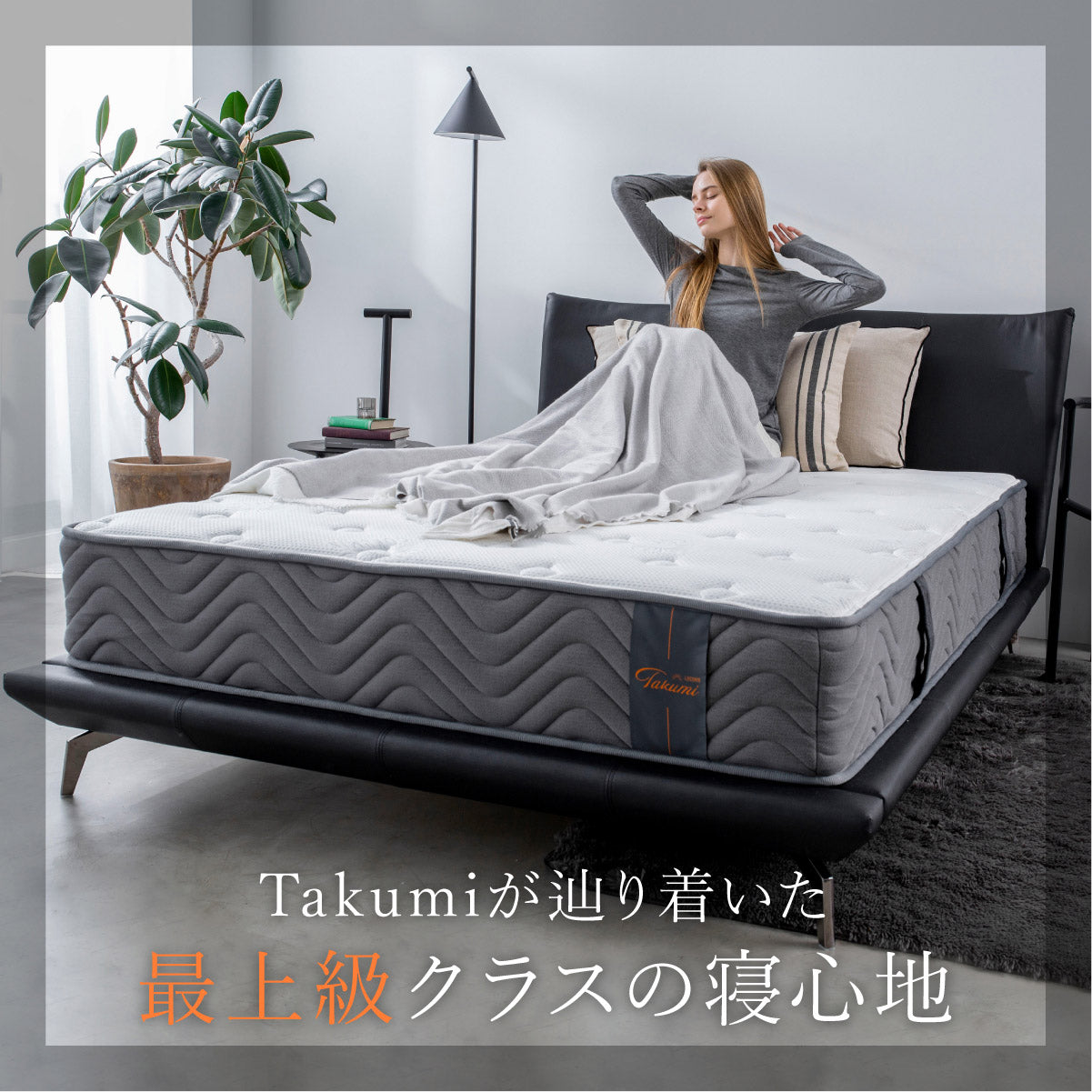最上級クラスの寝心地 極厚24cm】リバーシブル高密度スプリング
