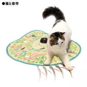 猫壱 キャッチミーイフユーキャン2 猫用 電動 おもちゃ ( キャッチミー