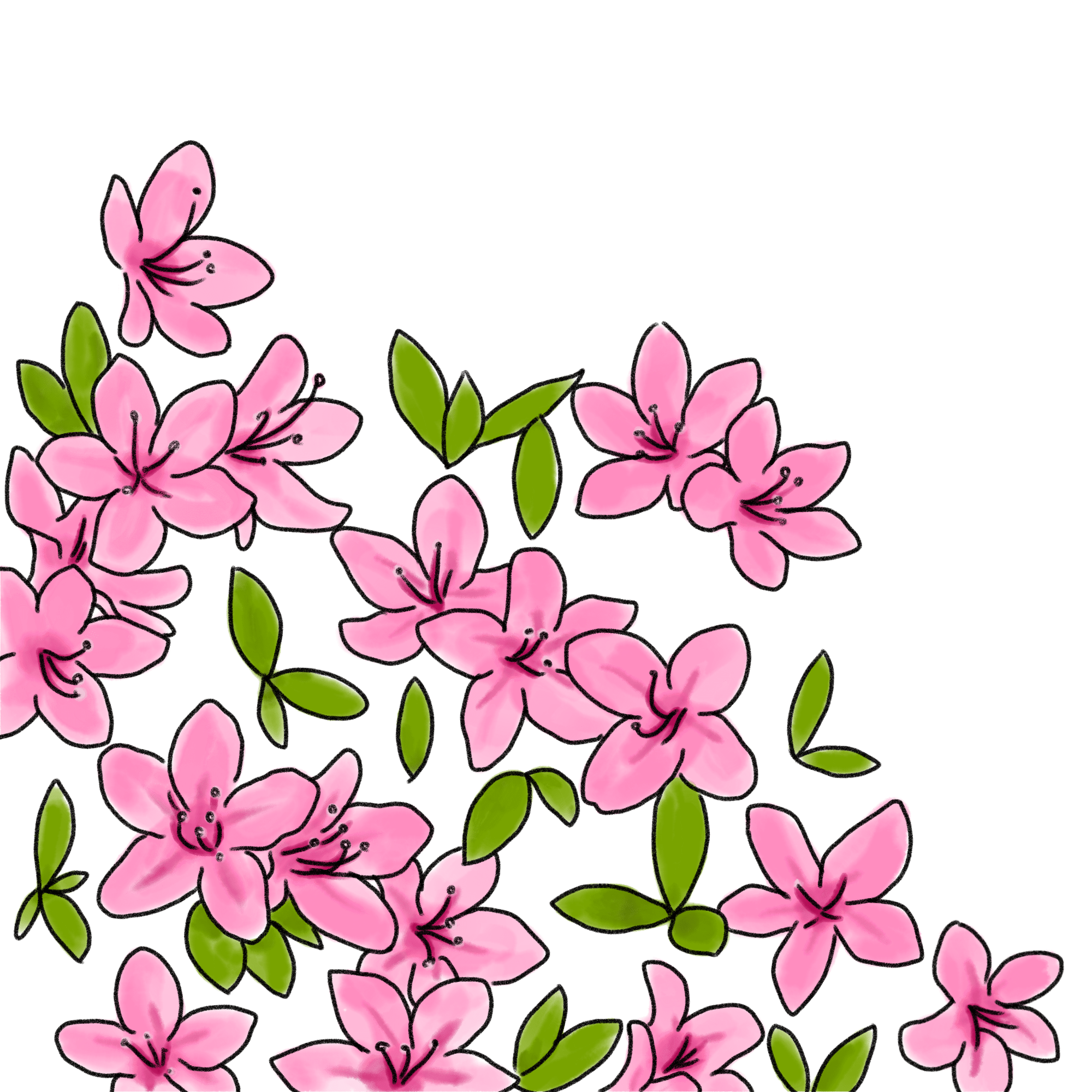 ツツジのイラスト｜02｜フリー素材 - GreenStock40