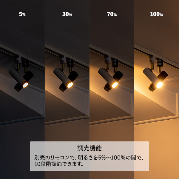1灯 LEDスポットライト ノーシュ