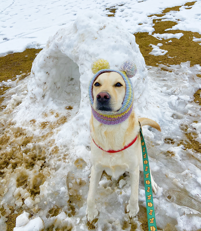 愛犬と『楽しい雪合戦』のはずが？ まさかの展開に「中に人間いる