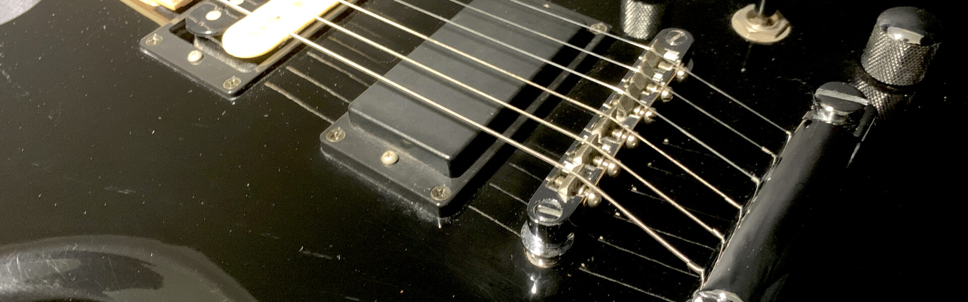 Aria Pro II モッキンバードタイプ – My Guitars