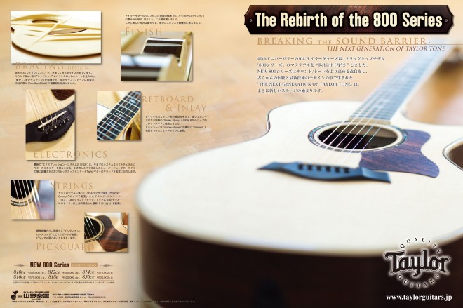 アコースティックギター】Taylor フラッグシップモデル「800シリーズ
