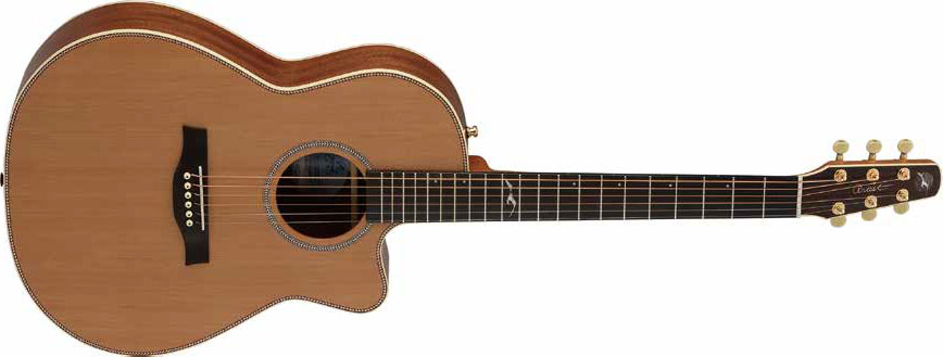 アコースティックギター・エレアコ】Seagullより、新製品続々登場