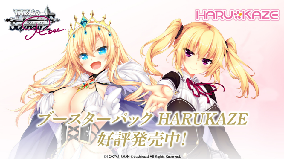 ヴァイスしゅヴァルツ るろうに剣心 RR以下 4コン+TD4コン セット