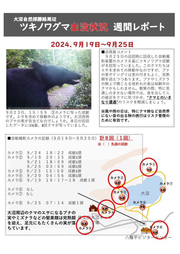 クマ情報】週間レポート9/19～9/25（大沼後生掛地区） | 八幡平