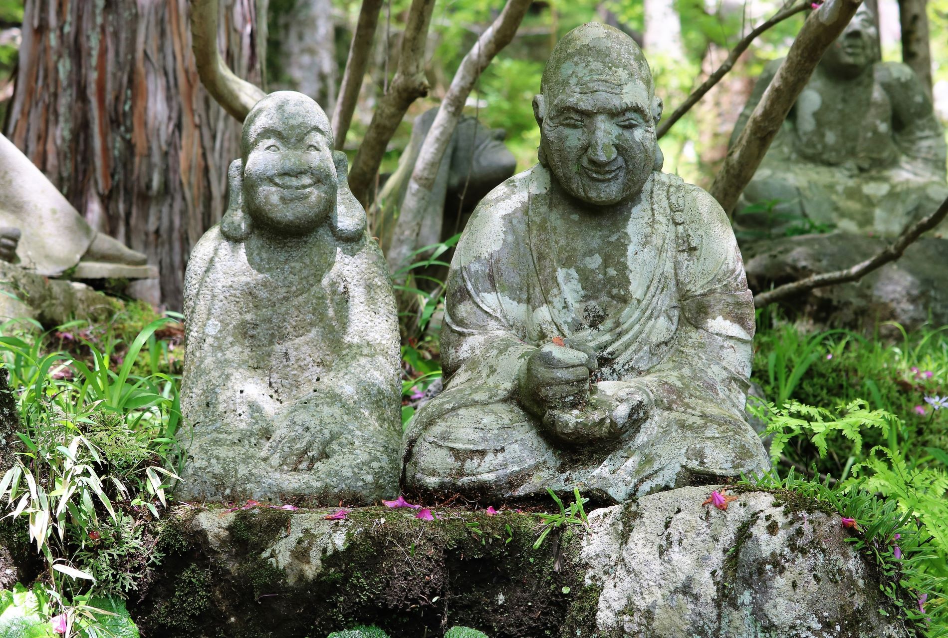 長安寺は歴史深い仙石原の古刹、心で観ずる五百羅漢に季節の花々