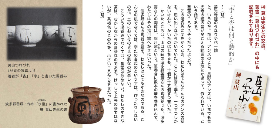 萩焼 波多野指月窯｜ 作家紹介｜波多野 善蔵