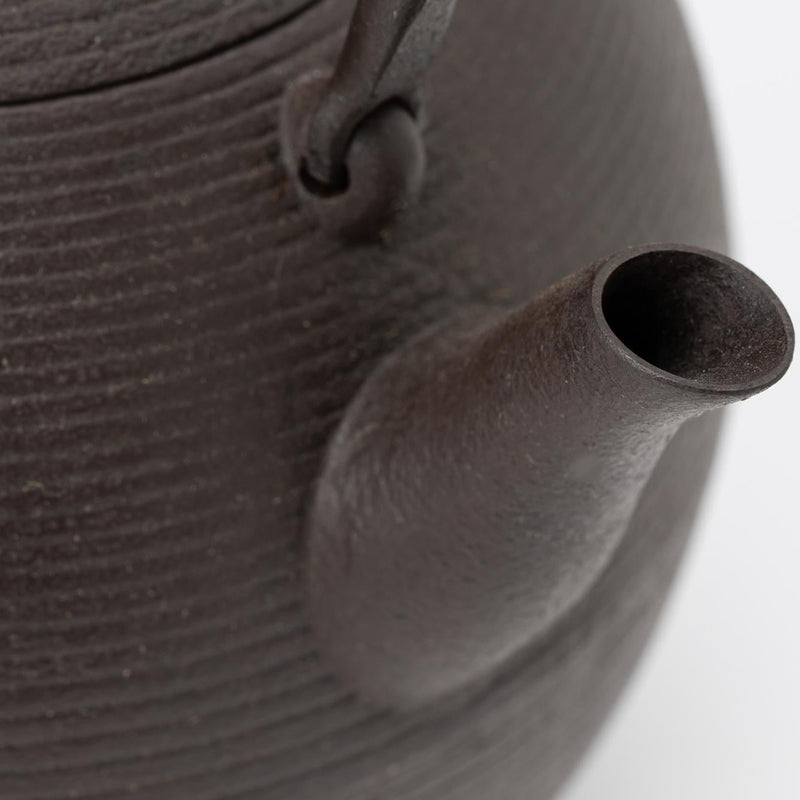 予約商品】[鈴木盛久工房×HERALBONY]南部鉄器「緑の風景」（中）