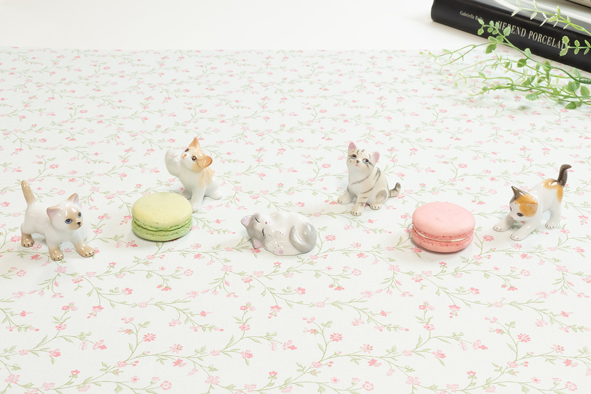 キャットコレクション