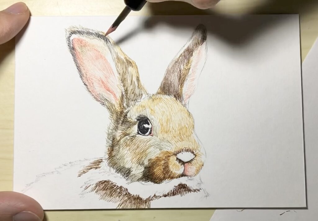 うさぎのペン画の描き方。カラーインクを使ってリアルな絵を描く