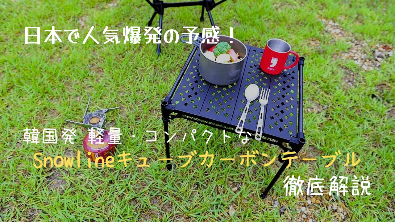 日本で人気爆発の予感！韓国発 軽量・コンパクトなスノーライン