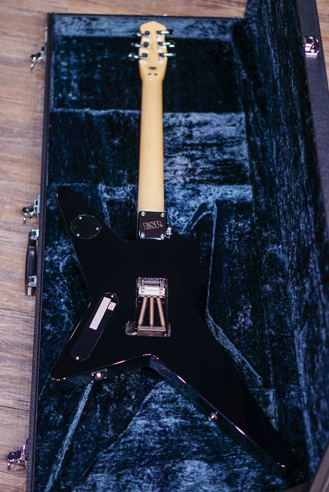 ESP RANDOM STAR -THE BLACK STAR-【AKIRA TAKASAKI Signature Model