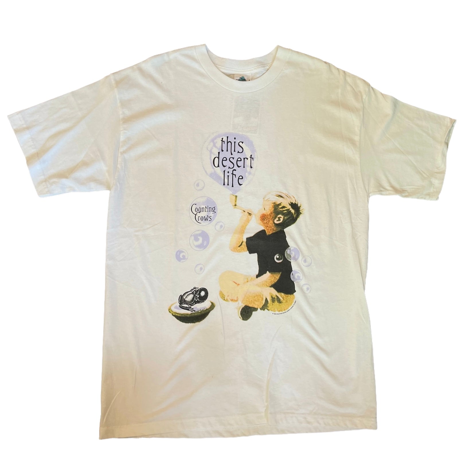 Vintage 1999 Counting Crows This Desert Life Band Shirt – Highland