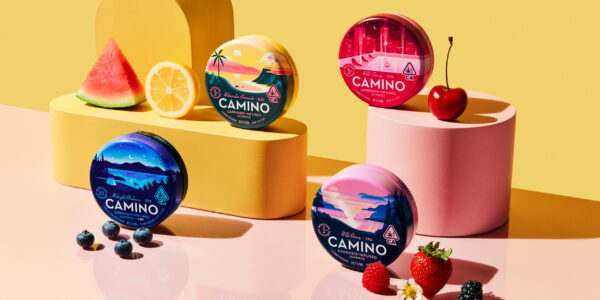 Kiva.Camino.4Family.3000x1500-