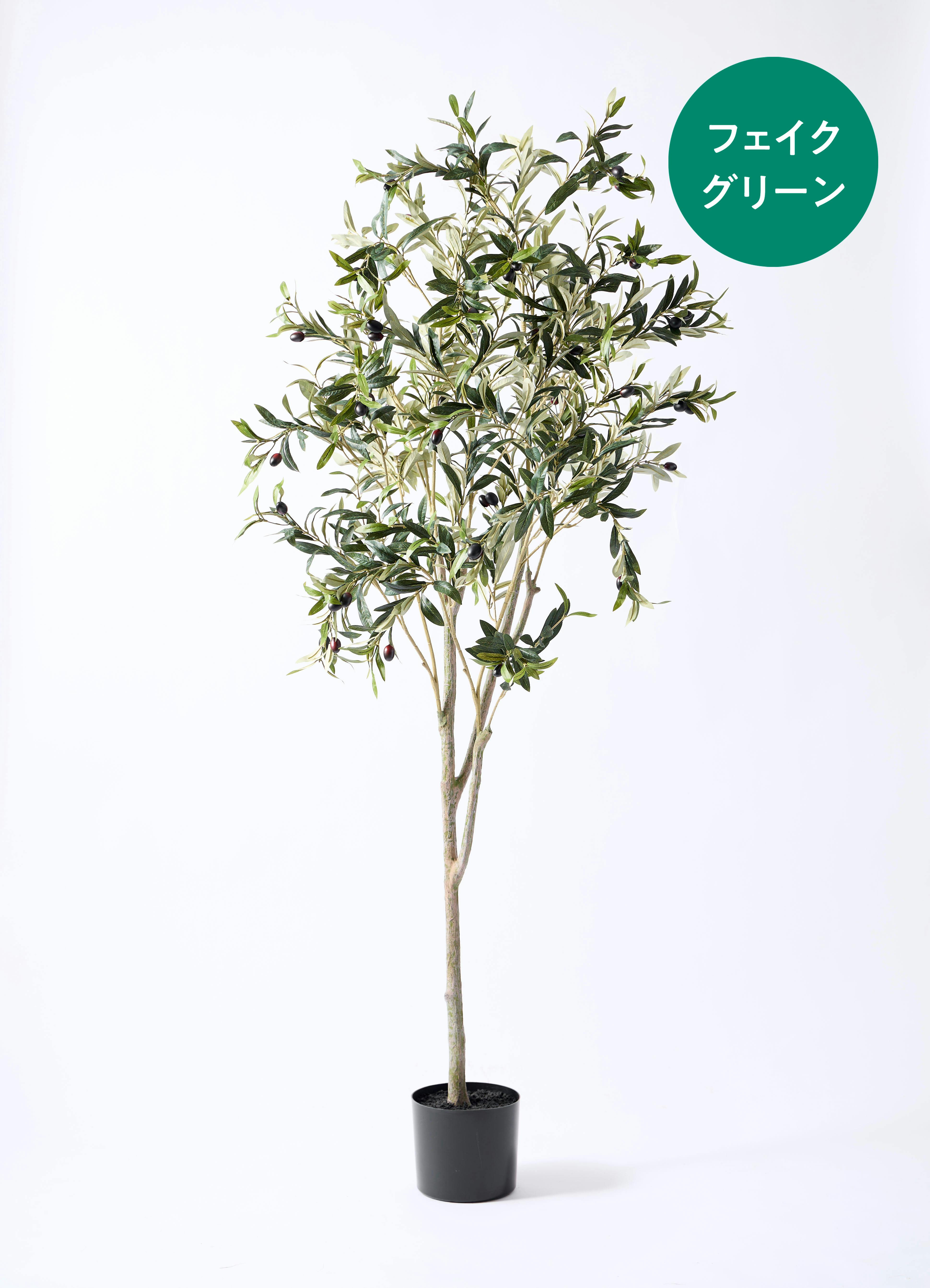 観葉植物【フェイクグリーン】オリーブ 実付き 180cm ベースポット入り