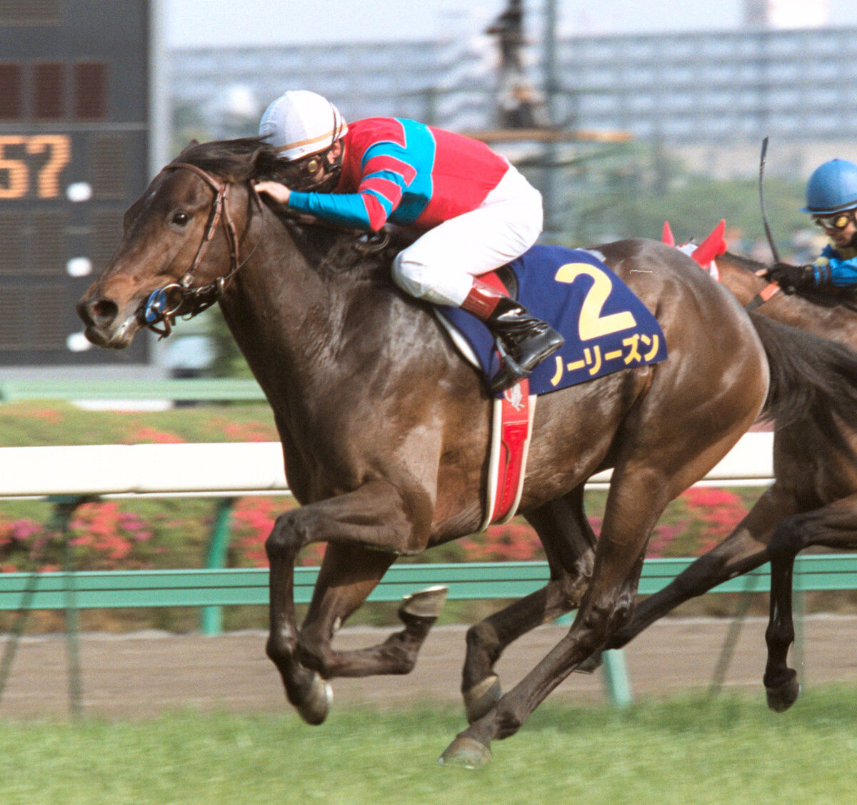 2002年皐月賞馬のノーリーズンが25歳で死す 「ウマ娘」にも登場