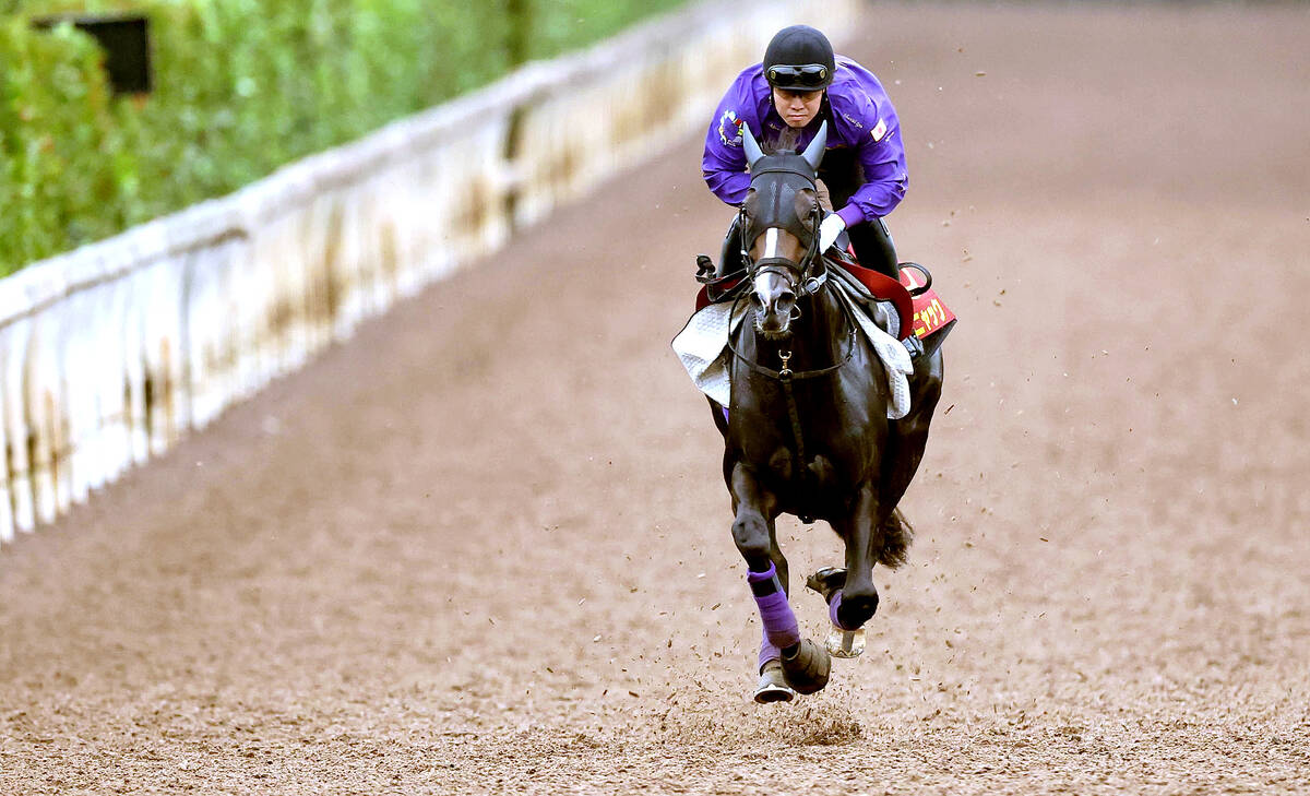 当時物 競馬 2001 桜花賞 オークス 秋華賞 レープロ セット ウマ娘