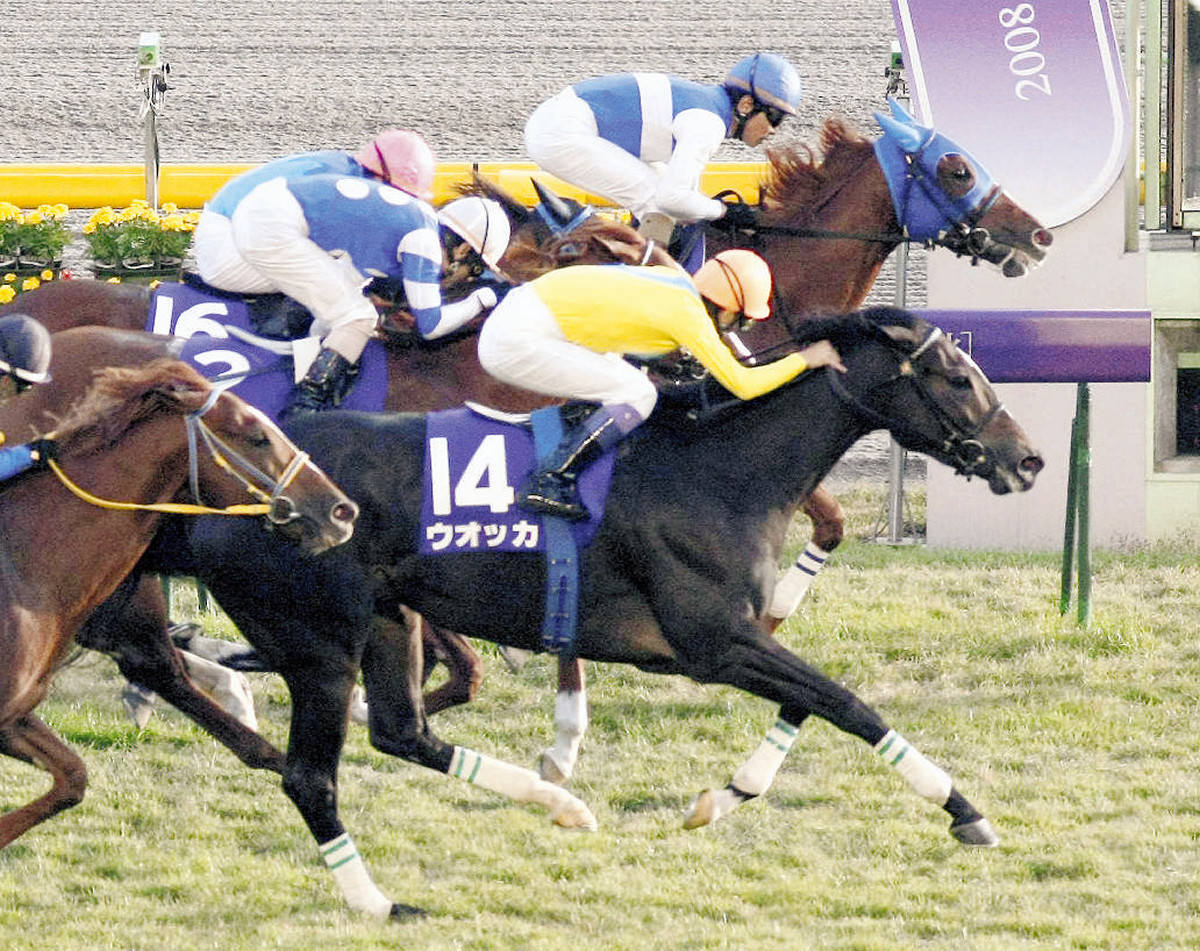 競馬]ダイワスカーレット(2008年有馬記念)額入りミニゼッケン・優勝