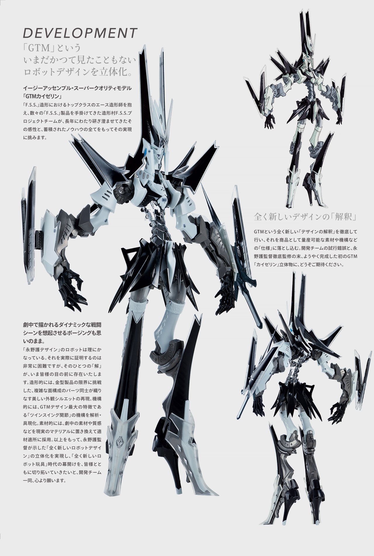 ボークスF.S.S.シリーズ - ABSOMEC GTM カイゼリン 製品情報 | ボークス