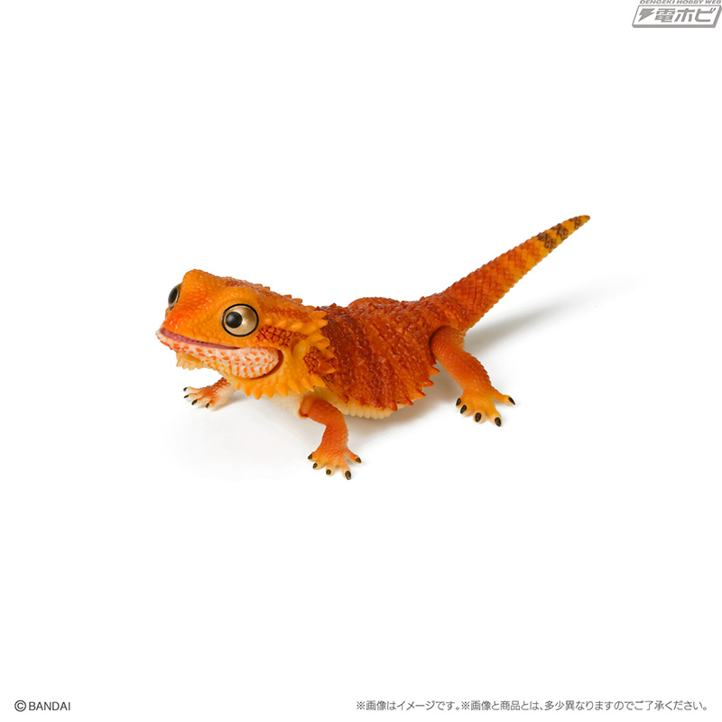 可愛いデフォルメ姿に注目！フトアゴヒゲトカゲが「いきもの大図鑑」の