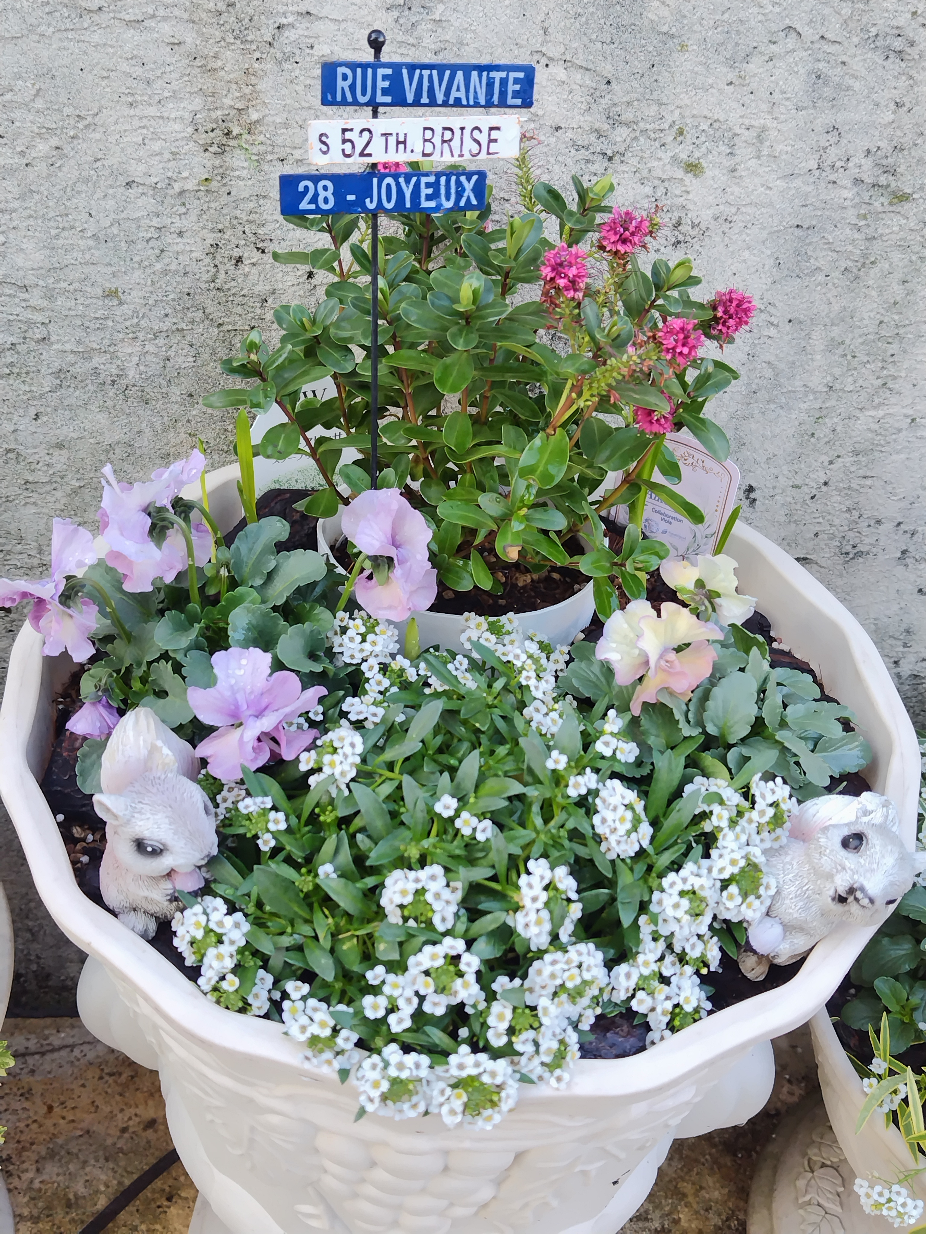 冬の寄せ植え⑫ | CAINZ DIY Square