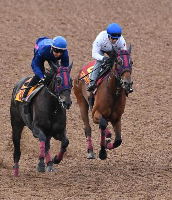 当時物 競馬 2001 桜花賞 オークス 秋華賞 レープロ セット ウマ娘