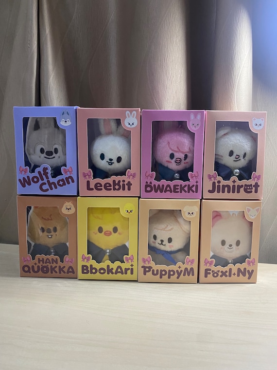 Box Only. Stray Kids SKZOO Box 10cm Plush Fanmade BOX [BOX Only