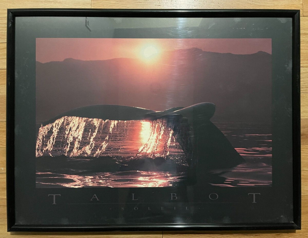 Bob Talbot 80s vintage poster Soleil Bob Talbot 80s vintage poster