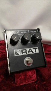 Rat Whiteface | eBay
