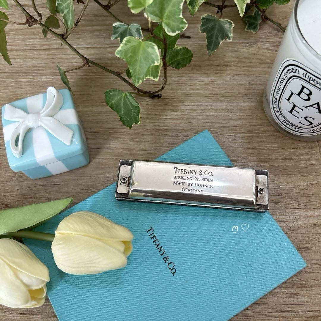 Tiffany Blues Harp Key of C Harmonica Silver Tone Musical