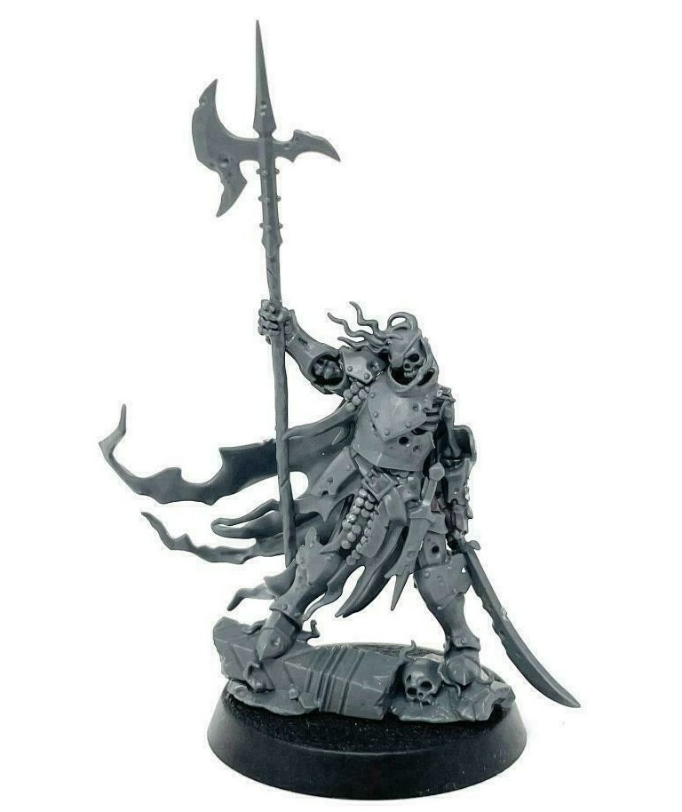 Watch Captain Halgrim Cursed City Warhammer Soulblight Gravelords