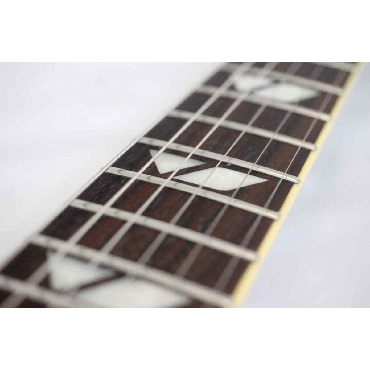 FERNANDES RAVELLE STEELER Electric Guitar | eBay
