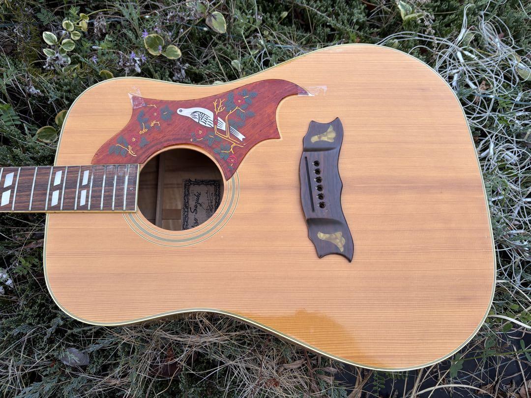 Kiso Suzuki W-65DA Quilted Maple Dove Style Acoustic Guitar Used