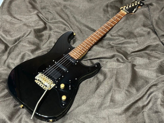 Electric Guitar Fernandes The Function Black with Effector Boss ME