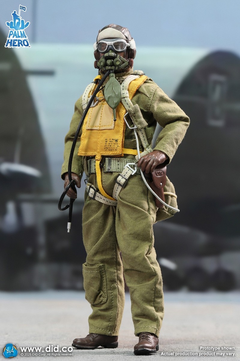DID XA80032 WWII US Army Air Force Pilot Captain Rafe 1/12 6