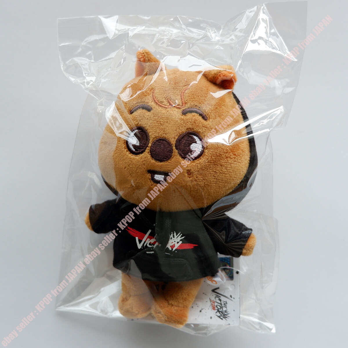 STRAY KIDS x SKZOO Official plush mini THE VICTORY JYP STORE | eBay