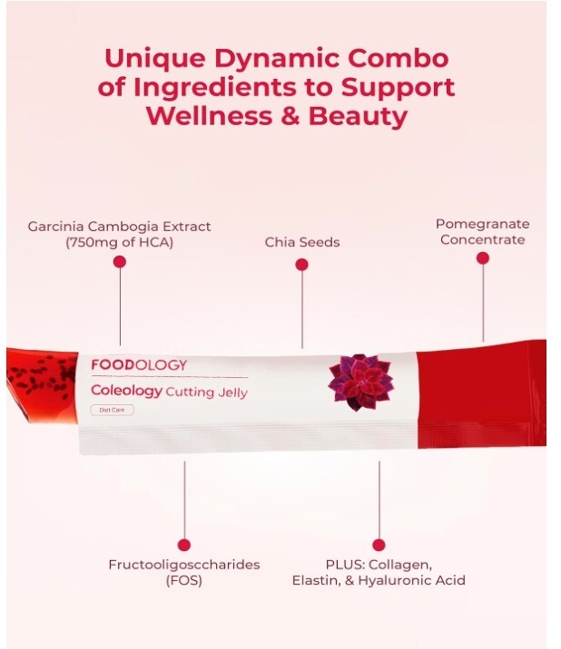 FOODOLOGY Coleology Cutting Jelly 10 Sticks Best Healthy Weight