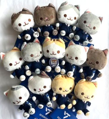 SEVENTEEN Animal Coordy Mini Plush Stuffed Toy Dream Cat mascot