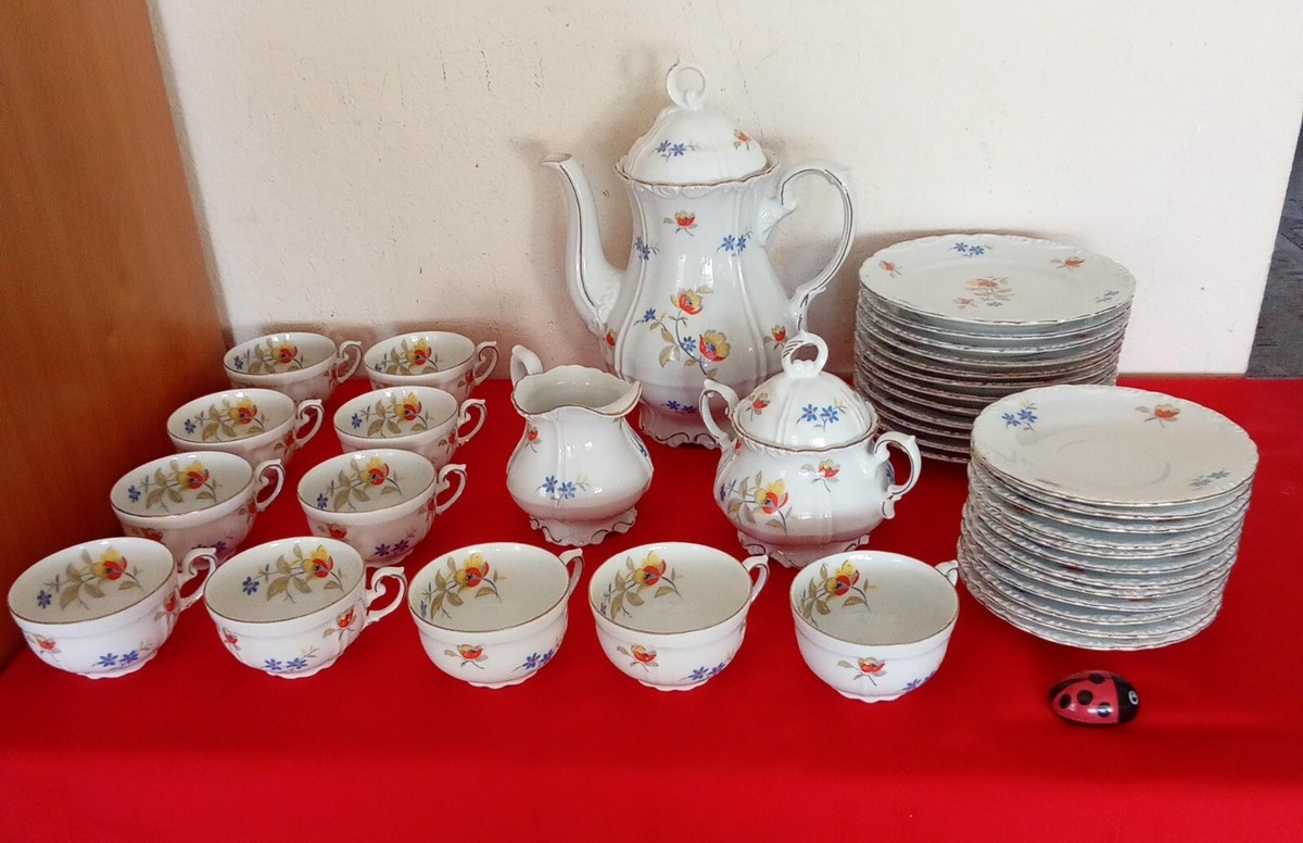 Vtg Schirnding Bavaria Porcelain Germany Multicolor Floral Complet