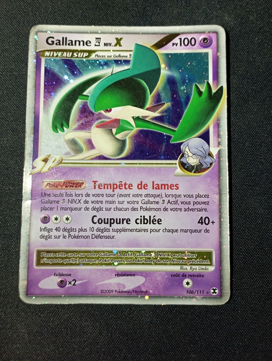 Gallame NIV. X 106/111 フランス語 Gallame NIV. X 106/111